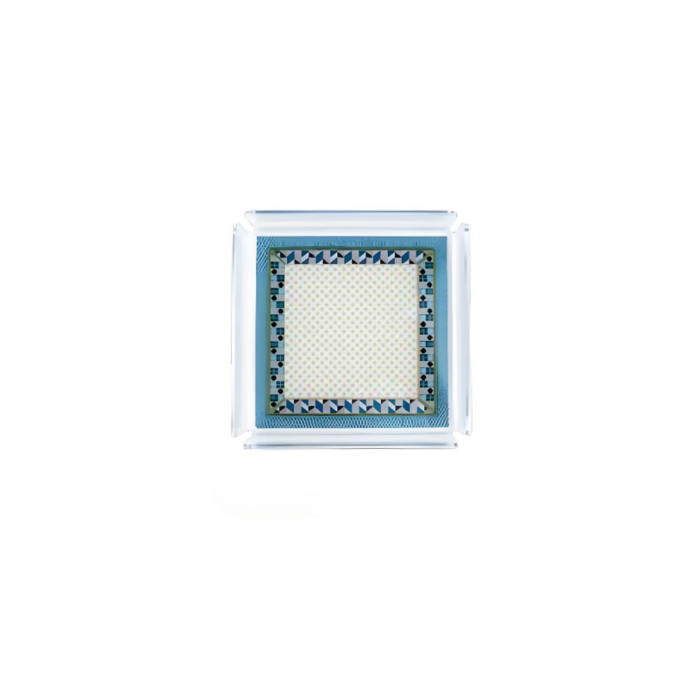 Ecommerce oggettistica casa - Vendita Vuotatasche Modern Vesta Online Al Miglior Prezzo