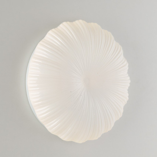 Plafoniera Lampade da soffitto Led Miglior prezzo on line Luce&Luci Roma Tuscolana