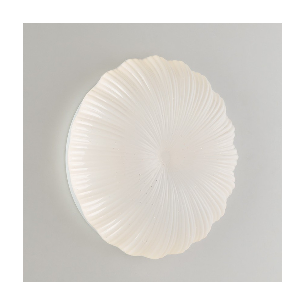 Plafoniera Lampade da soffitto Led Miglior prezzo on line Luce&Luci Roma Tuscolana