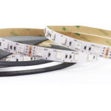 Negozio Illuminotecnica Domotica Roma – Vendita Strip Led Online Al Miglior Prezzo